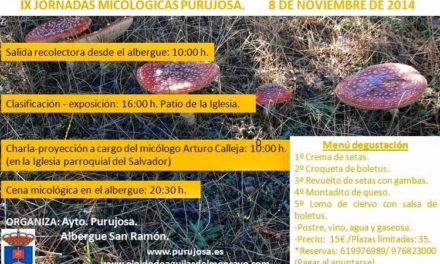 Jornada micológica (sábado, 8)