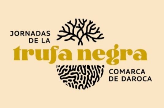 Jornadas de la trufa negra Comarca de Daroca 2024 : Turismo de Aragón