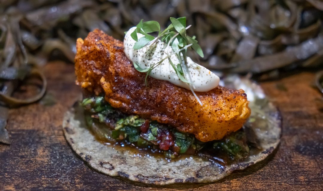 El Taco Marino de Nola Gras se Corona como el Mejor de Aragón en el Campeonato Nacional de Tacos