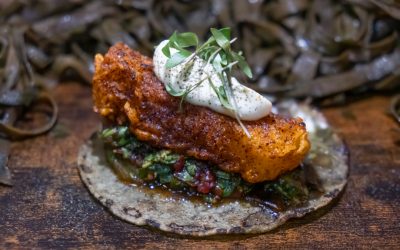 El Taco Marino de Nola Gras se Corona como el Mejor de Aragón en el Campeonato Nacional de Tacos