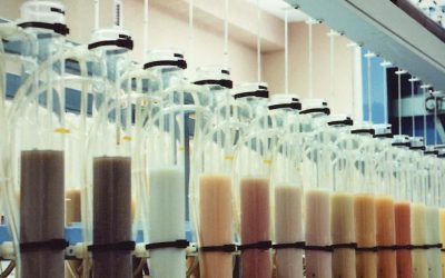 El Laboratorio Agroambiental se convierte en Laboratorio Nacional de Referencia en Análisis de Fertilidad de Suelos