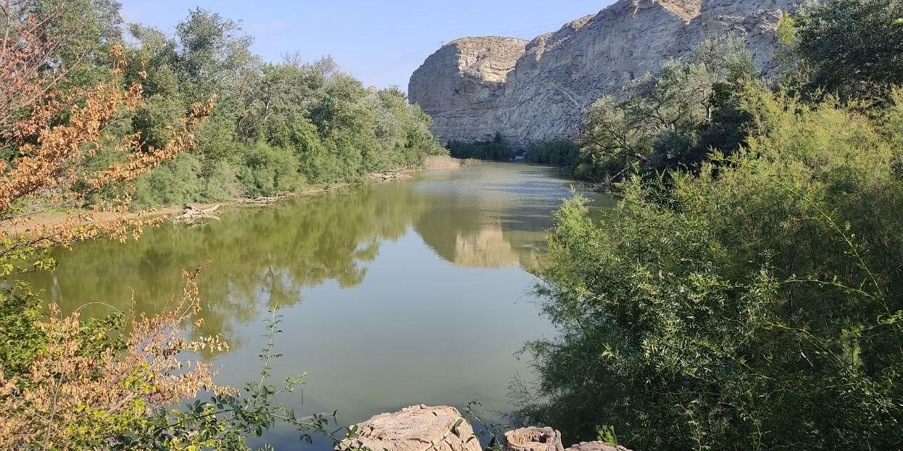 El Galacho de Juslibol da la bienvenida a septiembre con paseos guiados, talleres y otras actividades