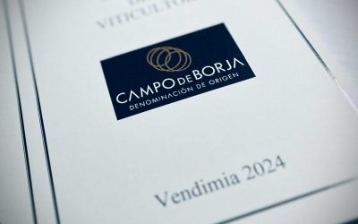 La DOP Campo de Borja espera vendimiar unos 22 millones de kilos de uva