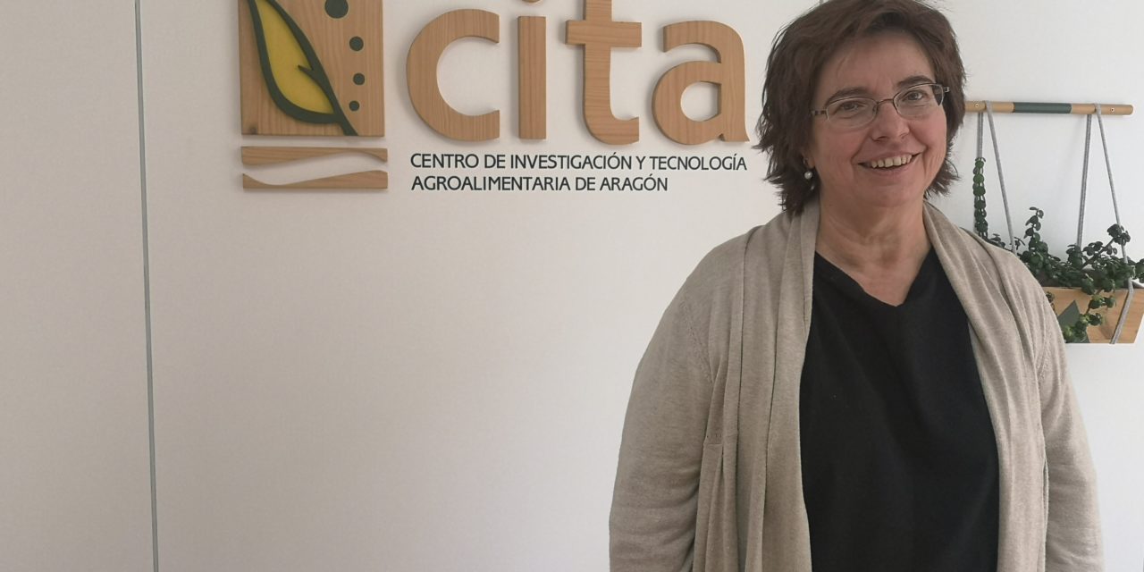 La investigadora Pilar Errea, nueva directora gerente del CITA