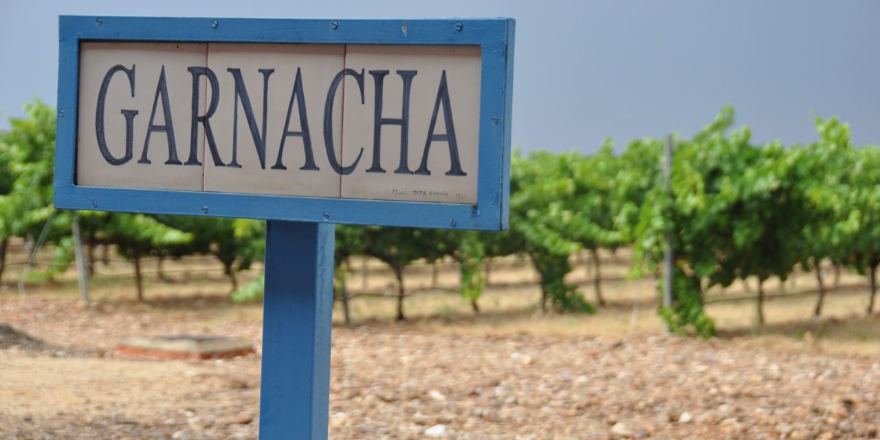 Cariñena y Zaragoza, sedes del concurso Grenaches du Monde