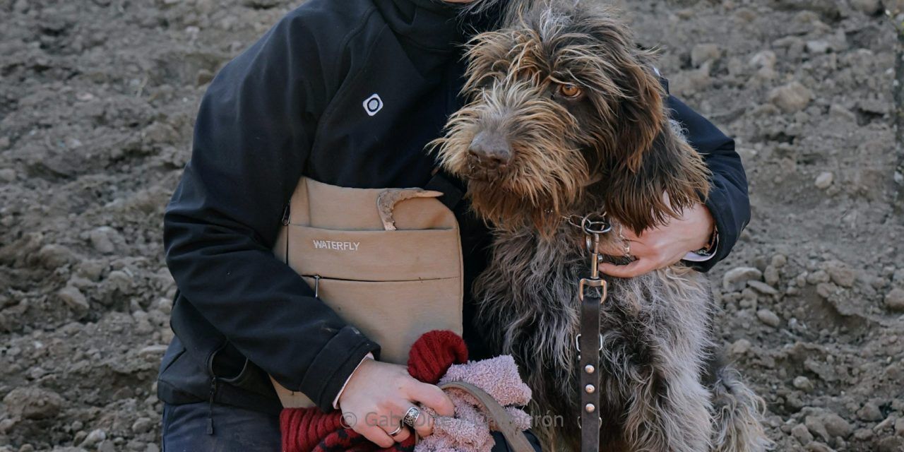 Leticia Sopena y Boira ganan el V Concurso Nacional de Perros Truferos de la Sierra del Moncayo