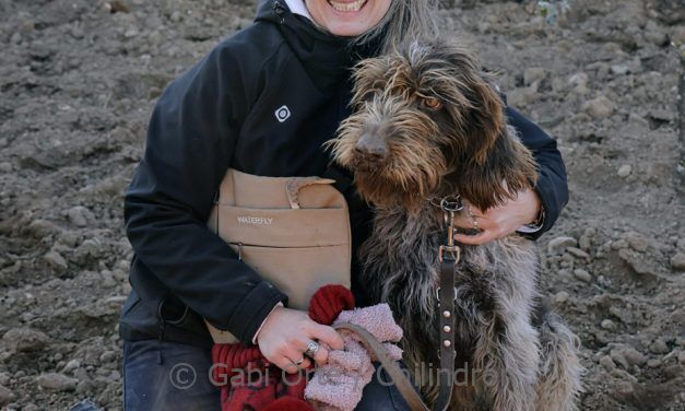 Leticia Sopena y Boira ganan el V Concurso Nacional de Perros Truferos de la Sierra del Moncayo