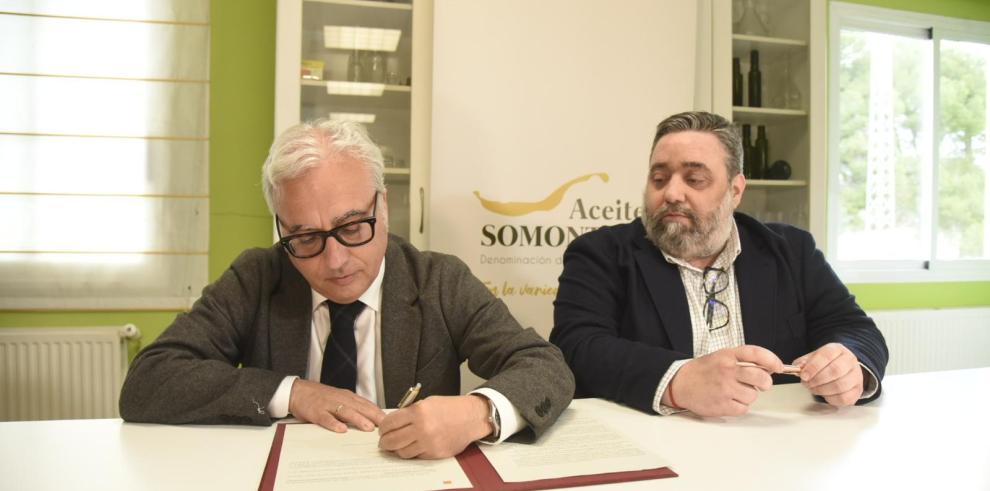 Aceite del Somontano obtiene la Protección Nacional Transitoria para comercializarse como DO en España