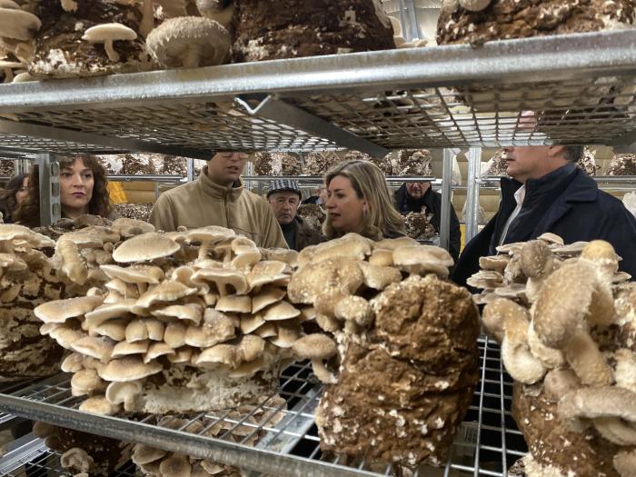 Nace Laderas del Moncayo, un proyecto de setas ecológicas